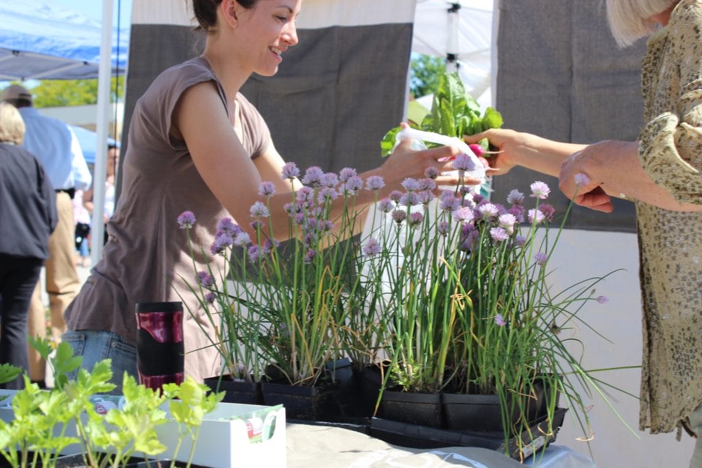 June 7 – September 27, 2022 – Farmers Market