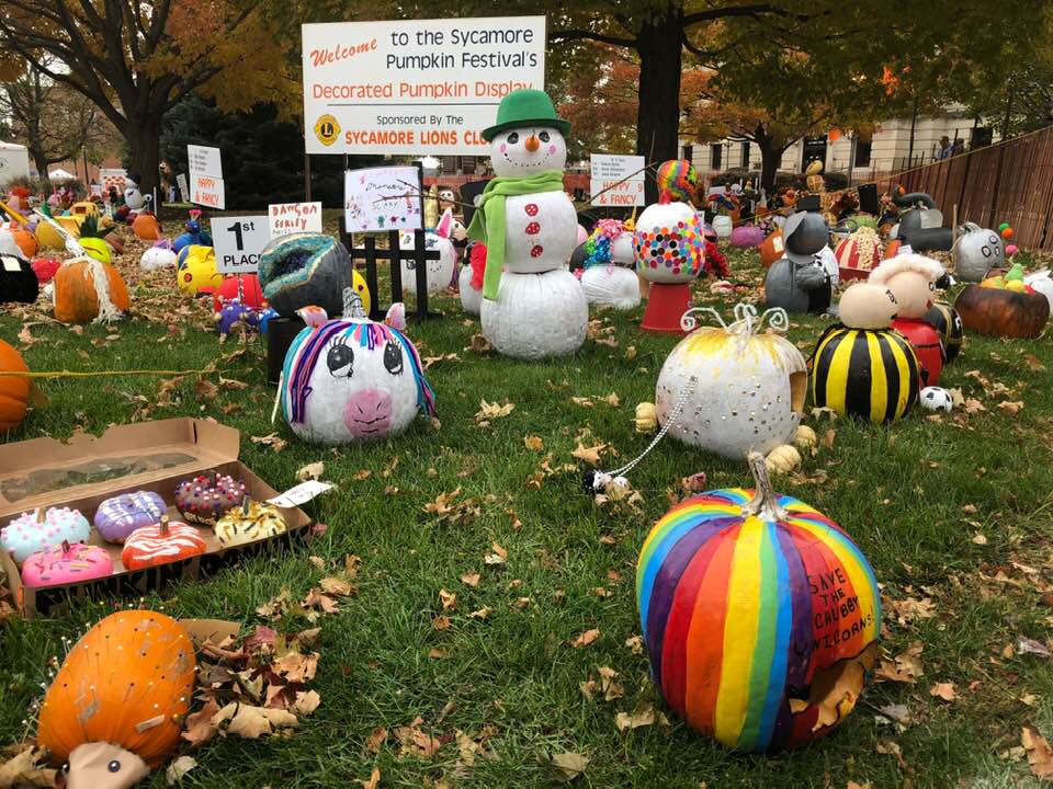 Image of painted pumpkins on the lawn at the Sycamore Pumpkin Fest